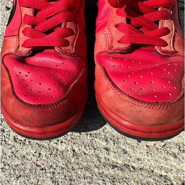 NIKE(ナイキ)のNIKE DUNK LOW PRO SB RED DEVIL メンズの靴/シューズ(スニーカー)の商品写真