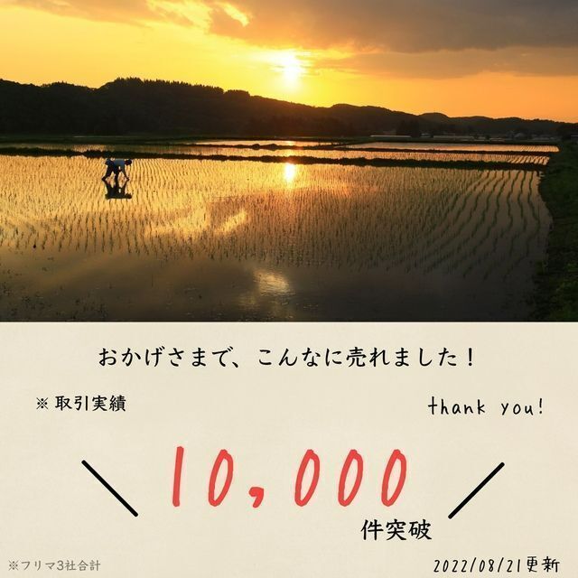 【残り3セット】極小粒砕米 袋込25kg 鳥のえさ 飼料 くず米 お得 安い 食品/飲料/酒の食品(米/穀物)の商品写真