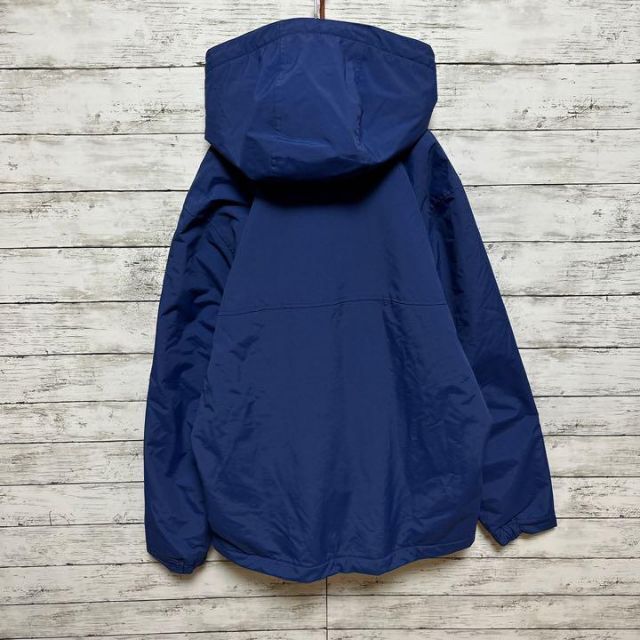 607【即完売品】カーハートWIP☆ロゴタグ ハーフジップマウンテンパーカー美品