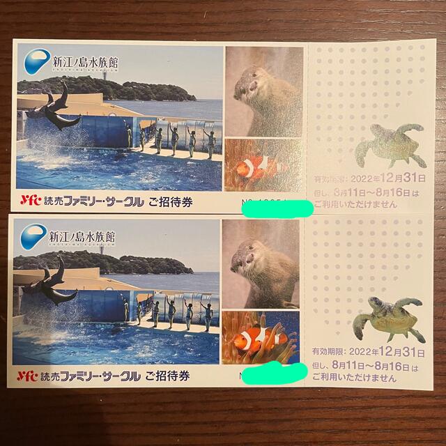 新江ノ島水族館 入場招待チケット 4枚（大人・小人共通）12月31日迄