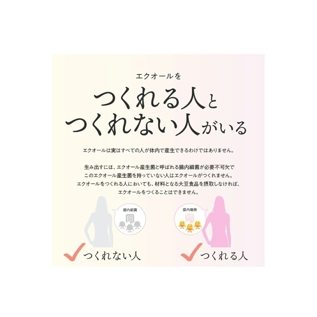 大塚製薬(オオツカセイヤク)の【新品未開封】大塚製薬 エクエル パウチ120粒×3袋セット（約90日分） コスメ/美容のコスメ/美容 その他(その他)の商品写真