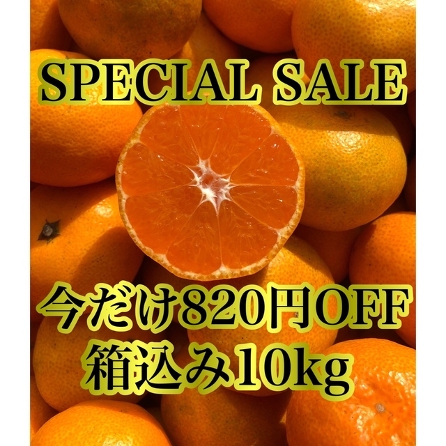 愛媛県産 早生 みかん 箱込み 10kg 柑橘 ミカン 果物 激安 セール 食品/飲料/酒の食品(フルーツ)の商品写真