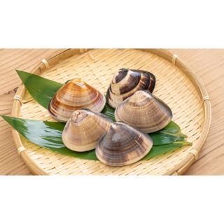 北の海産物ショップ様専用。11/24発送11/26午前中着ハマグリ55個(魚介)