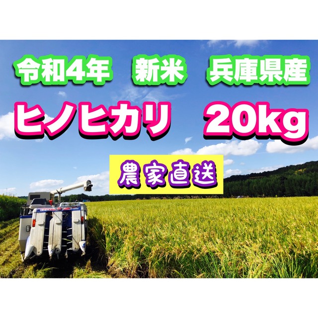 食品令和4年　新米ヒノヒカリ20kg 兵庫県産　送料・精米無料