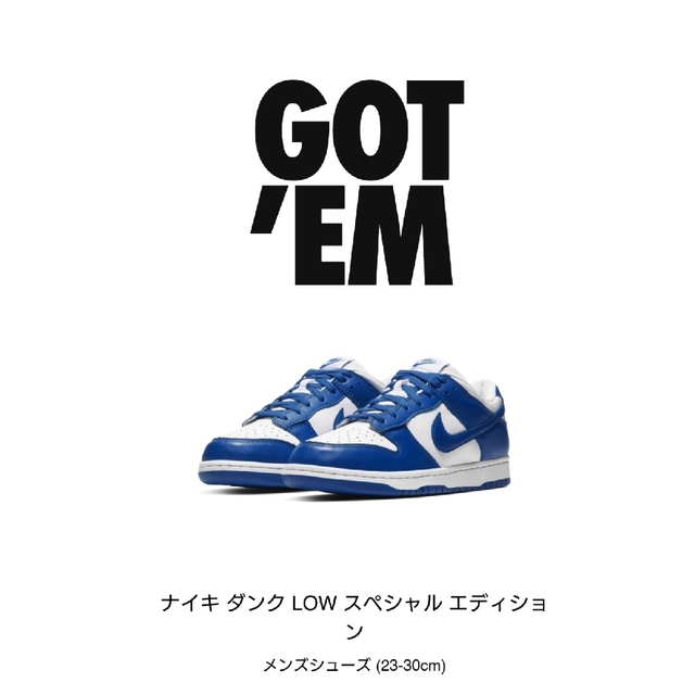 NIKE dunk low varsity loyal