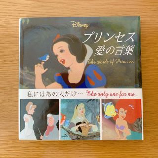 ディズニー(Disney)のＤｉｓｎｅｙプリンセス愛の言葉(アート/エンタメ)