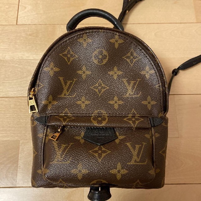 限定特価】 LOUIS VUITTON ルイヴィトン パームスプリングス バック