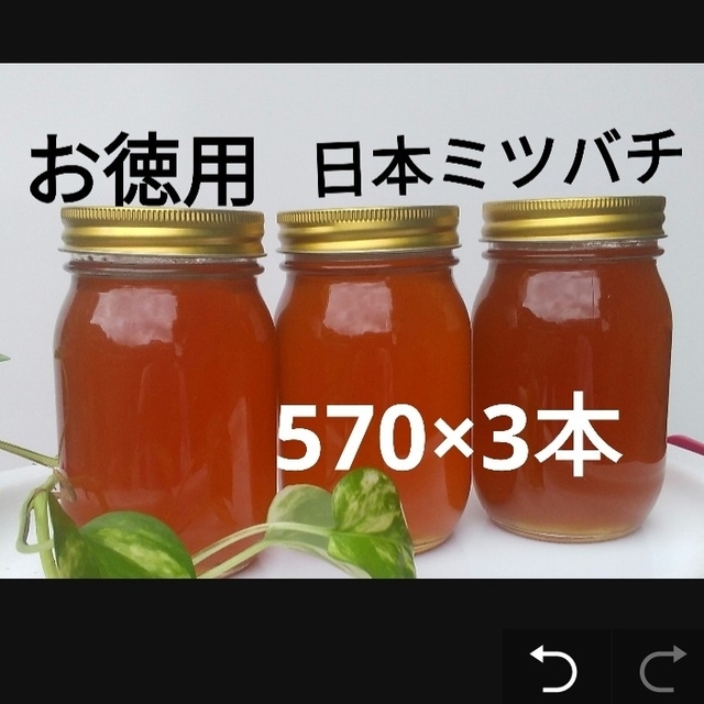 日本みつばちお徳用  日本ミツバチ  蜂蜜(570×3本)