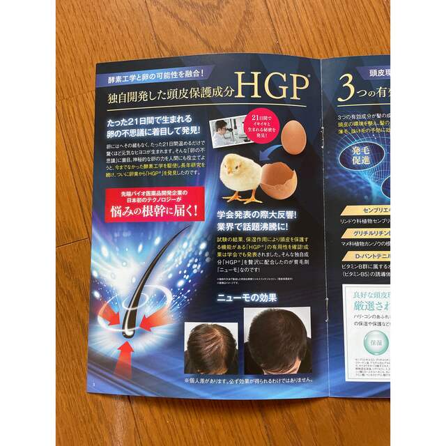 ニューモ 薬用育毛剤 75ml 2本セット ニューモ 薬用育毛剤 75ml 2本セット