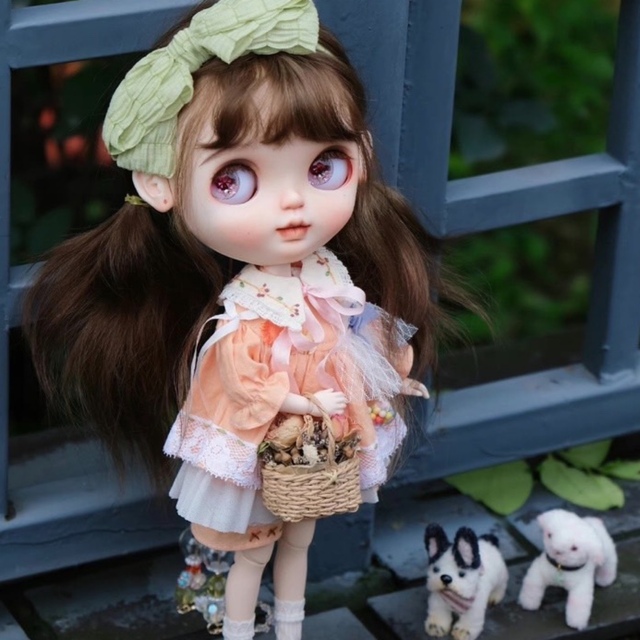 作家様カスタムブライス カスタムネオブライス フルセット