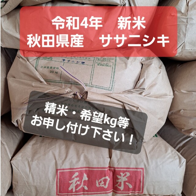 令和4年　新米　秋田県産ササニシキ　玄米20kg米/穀物