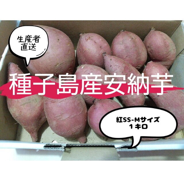 種子島産安納芋紅 食品/飲料/酒の食品(野菜)の商品写真