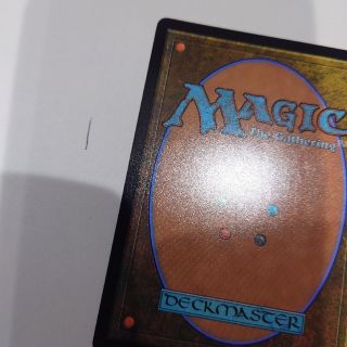 マジックザギャザリング(マジック：ザ・ギャザリング)のMTGカード裏面１(シングルカード)