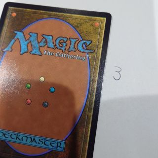 マジックザギャザリング(マジック：ザ・ギャザリング)のMTGカード裏面３(シングルカード)