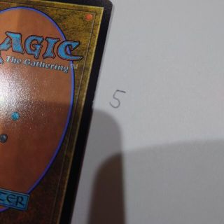 マジックザギャザリング(マジック：ザ・ギャザリング)のMTGカード裏面５(シングルカード)