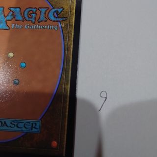 マジックザギャザリング(マジック：ザ・ギャザリング)のMTGカード裏面９(シングルカード)