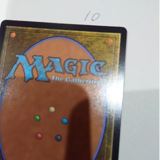 マジックザギャザリング(マジック：ザ・ギャザリング)のMTGカード裏面１０(シングルカード)