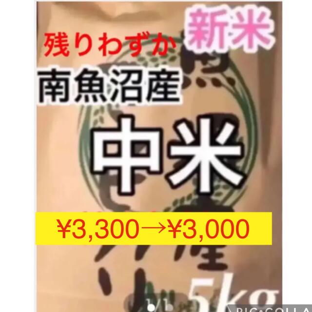 11/10迄！令和4年産　新米　中米　新潟県南魚沼産コシヒカリ　5kg 精米 食品/飲料/酒の食品(米/穀物)の商品写真