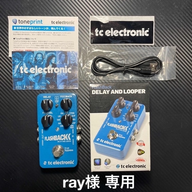 tc electronic Flashback Delay & Looper