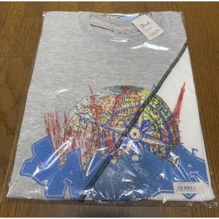 ヒナタザカフォーティーシックス(日向坂46)のDASADA バイカラーTシャツ　灰色　佐々木久美着用モデル(アイドルグッズ)