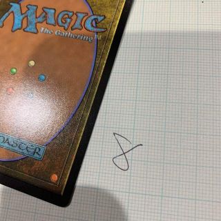 マジックザギャザリング(マジック：ザ・ギャザリング)のMTGカード裏面６(シングルカード)