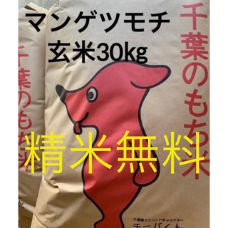 残3袋 新米 令和4年 マンゲツモチ 玄米30kg 餅米 もち米 農家直送