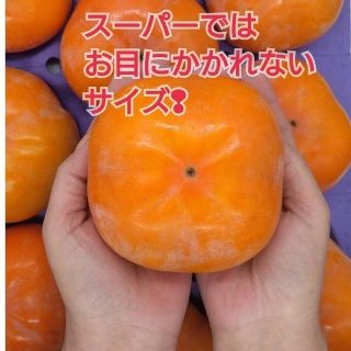 注文殺到!熊本産《極甘小さめ早生みかん》S〜3Sサイズ!5k箱満杯かめまる食堂y