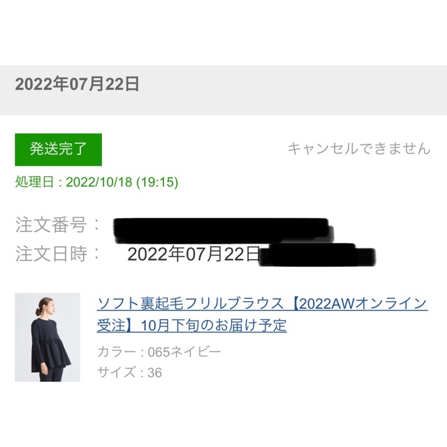 Tシャツ/カットソー(七分/長袖) ソフト裏起毛フリルブラウス【2022AW】