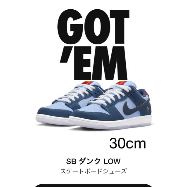 NIKE × WHY SO SAD DUNK LOW SB 30cm