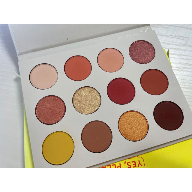 【新作】日本未上陸 COLOURPOP クールブラウン系アイシャドウパレット