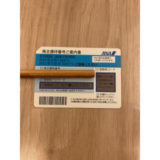 エーエヌエー(ゼンニッポンクウユ)(ANA(全日本空輸))のANA 株主優待券 1枚 有効期限 11月30日(その他)