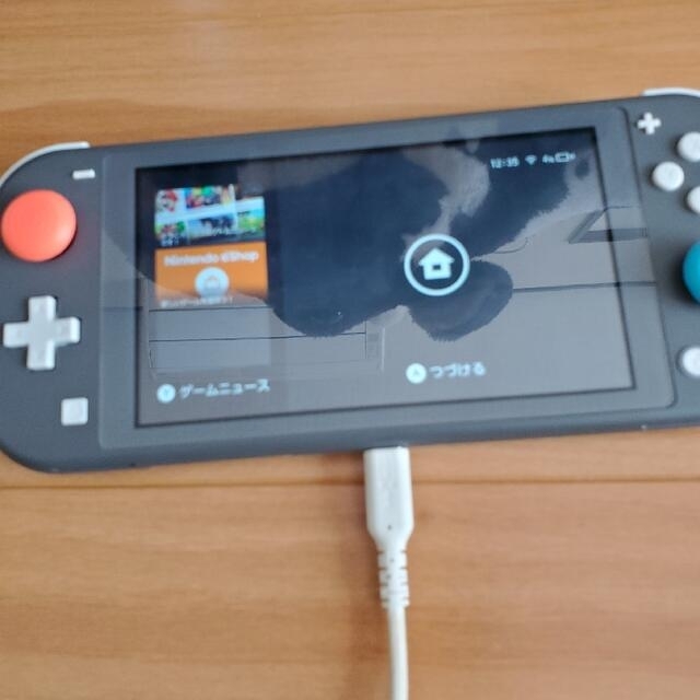 Nintendo Switch Liteグレー充電器無 マイクロSD64GB付 - 家庭用ゲーム