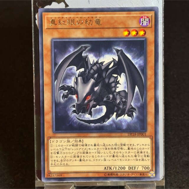 遊戯王 - 遊戯王 真紅眼の幼竜 レッドアイズベビードラゴン レア 遊戯王 - 遊戯王 真紅眼の幼竜 レッドアイズベビードラゴン レア