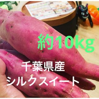 千葉県産　シルクスイート　約10kg(野菜)