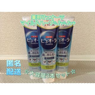 カオウ(花王)の薬用ピュオーラマイルドハーブBIGサイズ　170g大容量*3個セット(歯磨き粉)