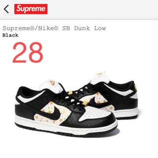 supreme  Nike dunk sb low 28