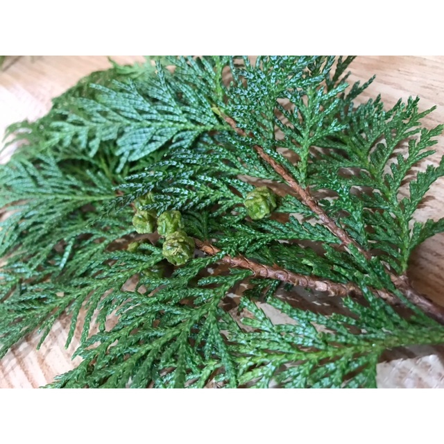 【匿名発送】天然無農薬　コニファー　ヒバ　クリスマス　リース　スワッグ　クラフト ハンドメイドのフラワー/ガーデン(その他)の商品写真