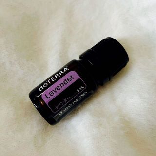 ドテラ(doTERRA)のドテラ　doTERRA ラベンダー5ml(エッセンシャルオイル（精油）)