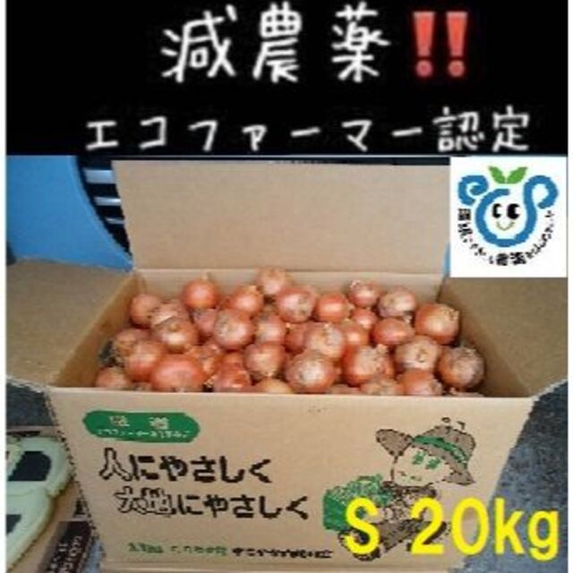 北海道産 小さい玉ねぎ20kg Sｻｲｽﾞ 食品/飲料/酒の食品(野菜)の商品写真