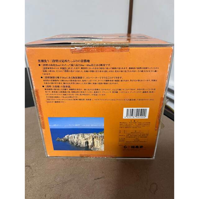 食品サンプル　白浜　ミカンパイ　状態良い　最安値