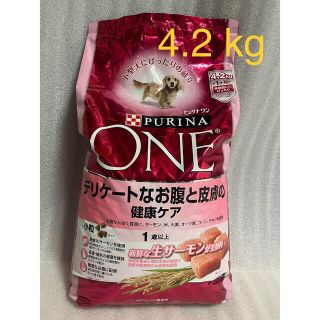 ネスレ(Nestle)の新品　ピュリナ ワン ドッグ 4.2kg  デリケートなお腹と皮膚の健康ケア(ペットフード)