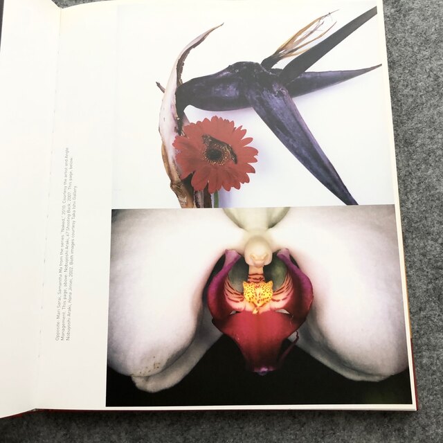 ハイヒールのエロスと現代写真 写真集「High Heels」 エンタメ/ホビーの本(洋書)の商品写真