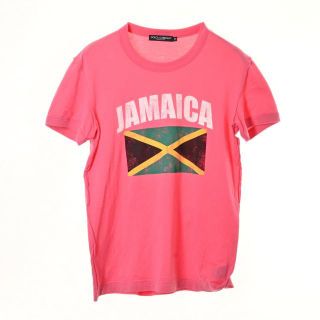 ドルチェ&ガッバーナ(DOLCE&GABBANA) Tシャツ(ピンク/桃色系)の通販