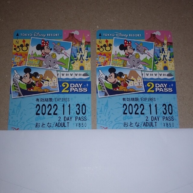 ディズニーリゾートライン2DAYPASS