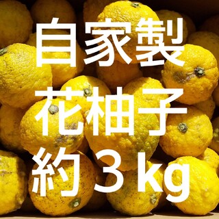 自家製 花柚子 約3kg 農薬未使用 約40個(フルーツ)