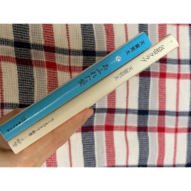 集英社(シュウエイシャ)の天童荒太 包帯クラブ、あふれた愛 2冊セット エンタメ/ホビーの本(文学/小説)の商品写真