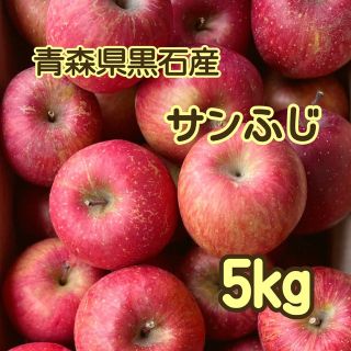 青森県産サンふじ(5キロ)(フルーツ)