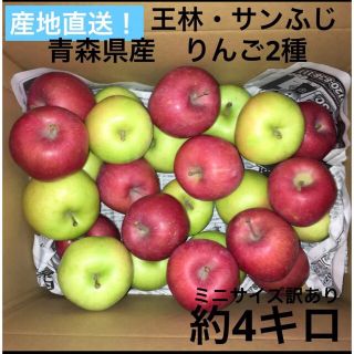 産地直送　りんご2種　サンふじ　王林　訳あり(フルーツ)