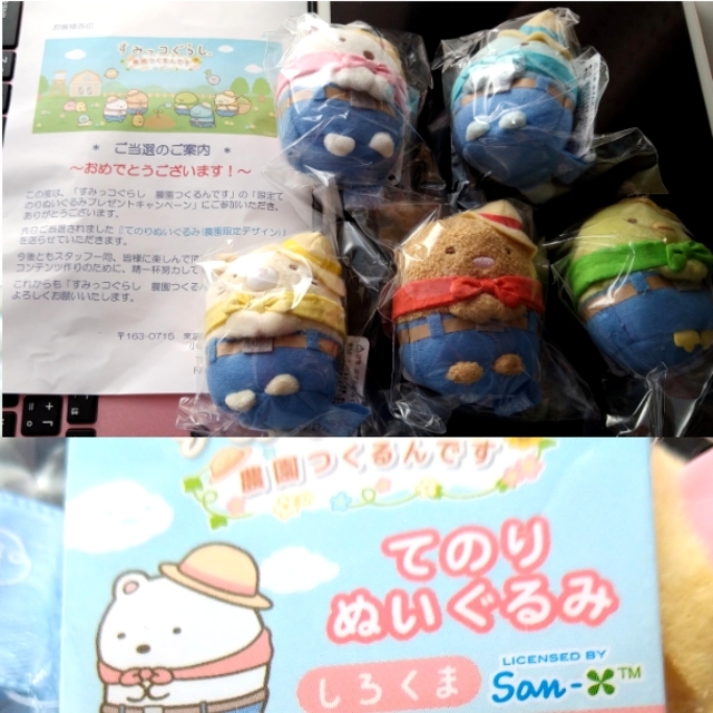 サンエックス - 【新品未開封】すみっコぐらし農園 限定てのり