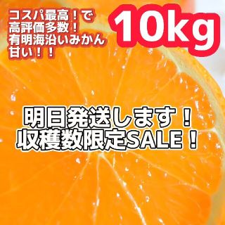 1早生みかん 10kg 数量限定 コスパ最高みかん◎ 農家直送で美味(フルーツ)